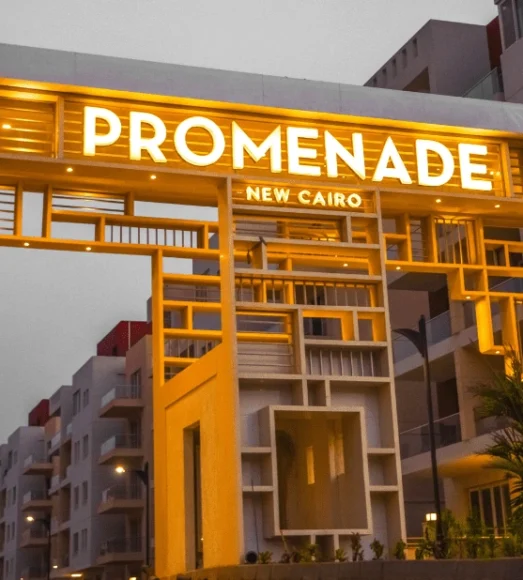 Capture__1_-1-min-1-e1748465994560